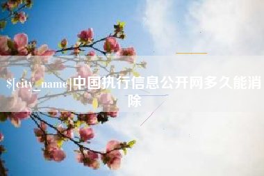 宝应县中国执行信息公开网多久能消除