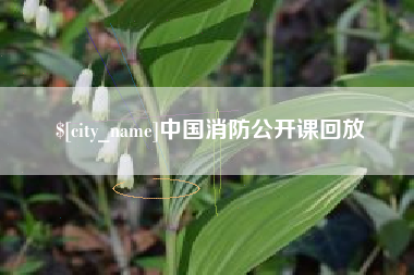 宝应县中国消防公开课回放