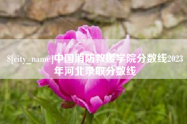 宝应县中国消防救援学院分数线2023年河北录取分数线