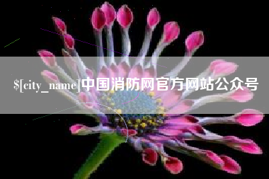 宝应县中国消防网官方网站公众号