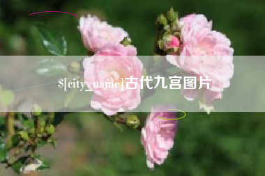 宝应县古代九宫图片