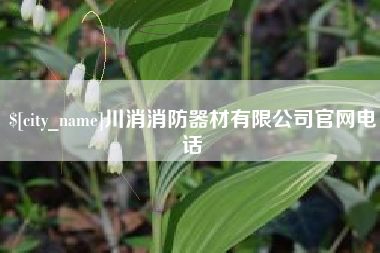 宝应县川消消防器材有限公司官网电话