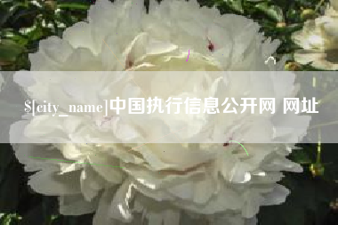 宝应县中国执行信息公开网 网址