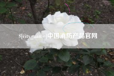 宝应县中国消防产品官网