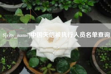 宝应县中国失信被执行人员名单查询