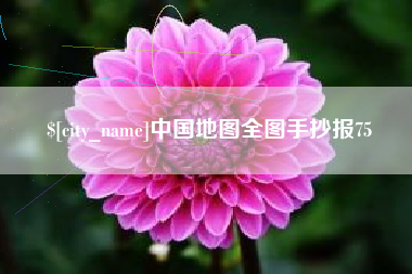 宝应县中国地图全图手抄报75