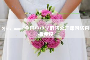 宝应县全国中小学消防公开课网络直播视频