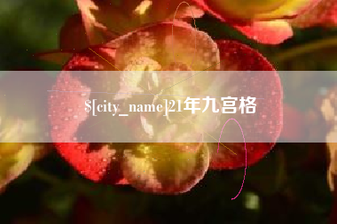宝应县21年九宫格