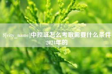宝应县中控证怎么考取需要什么条件2024年的
