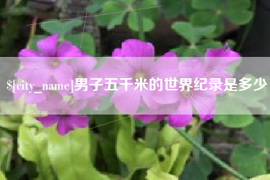 宝应县男子五千米的世界纪录是多少
