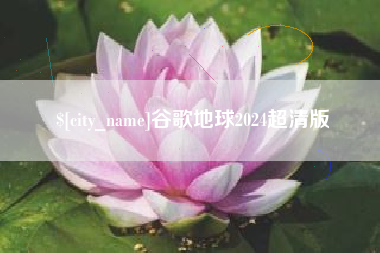 宝应县谷歌地球2024超清版