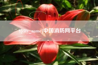 宝应县中国消防网平台