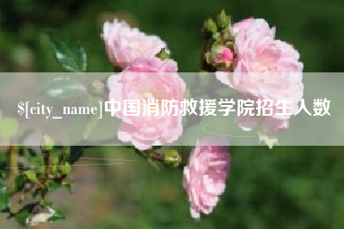 宝应县中国消防救援学院招生人数