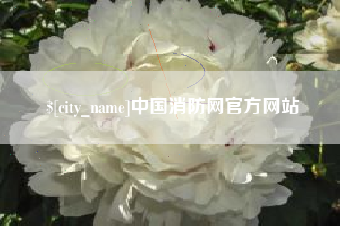 宝应县中国消防网官方网站
