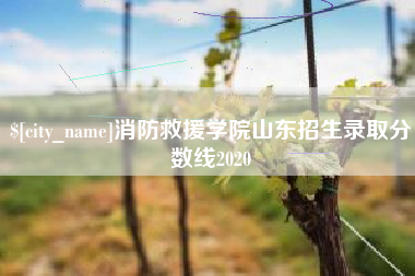宝应县消防救援学院山东招生录取分数线2020