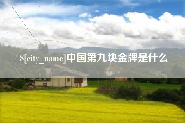 宝应县中国第九块金牌是什么
