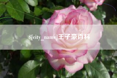 宝应县王子豪百科