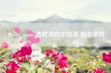 宝应县合肥消防中控证 报名条件