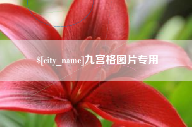 宝应县九宫格图片专用