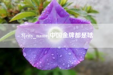 宝应县中国金牌都是啥