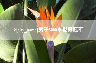 宝应县男子5000米世界冠军