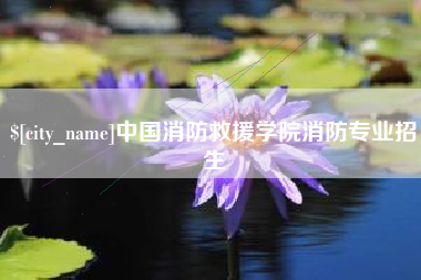 宝应县中国消防救援学院消防专业招生