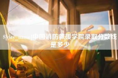 宝应县中国消防救援学院录取分数线是多少