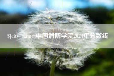 宝应县中国消防学院2024年分数线