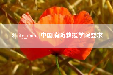 宝应县中国消防救援学院要求