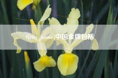 宝应县中国金牌包括