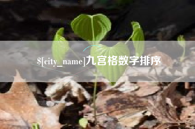 宝应县九宫格数字排序