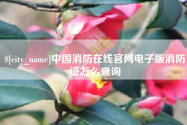 宝应县中国消防在线官网电子版消防证怎么查询
