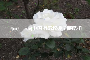 宝应县中国消防救援学院航拍