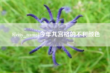 宝应县今年九宫格的不利颜色