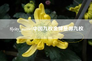 宝应县中国九枚金牌是哪九枚