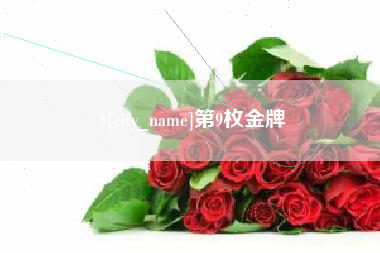 宝应县第9枚金牌