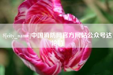 宝应县中国消防网官方网站公众号达伦特