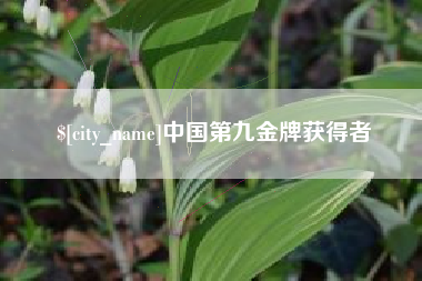 宝应县中国第九金牌获得者