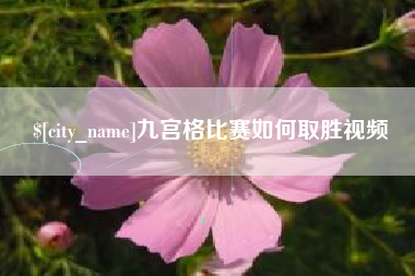 宝应县九宫格比赛如何取胜视频