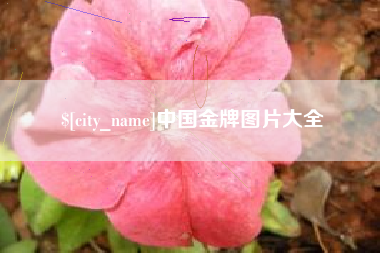宝应县中国金牌图片大全