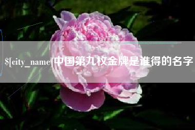 宝应县中国第九枚金牌是谁得的名字