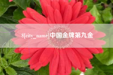 宝应县中国金牌第九金