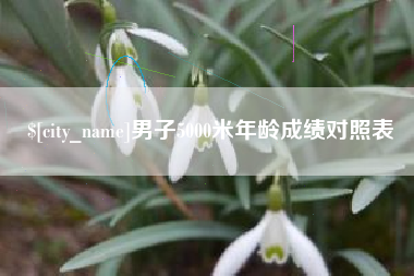 宝应县男子5000米年龄成绩对照表