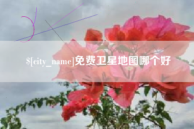 宝应县免费卫星地图哪个好