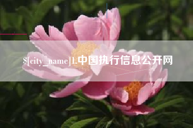 宝应县1.中国执行信息公开网