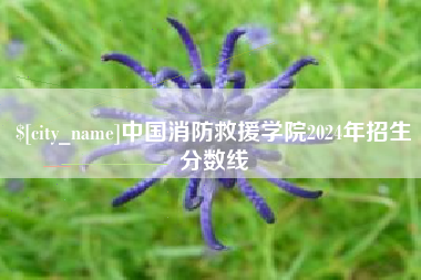 宝应县中国消防救援学院2024年招生分数线