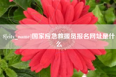 宝应县国家应急救援员报名网址是什么