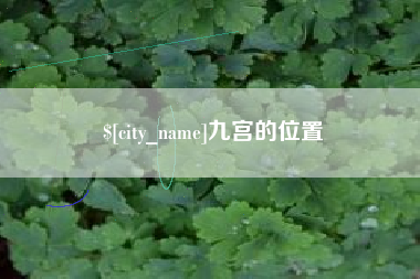 宝应县九宫的位置