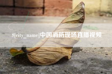 宝应县中国消防现场直播视频
