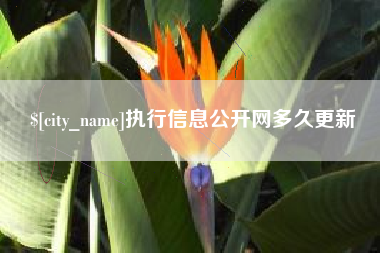 宝应县执行信息公开网多久更新